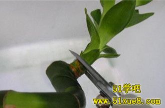 ޼ƯĸF