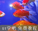^p~(y)B(yng)ֳg(sh)ҕl