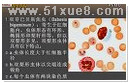 (dng)xW(xu)ҕl̳