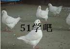 MB(yng)ֳҕl