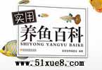 ͥ~(y)B(yng)~(y)R(sh)