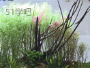 ˮ~쾰cSoҕl
