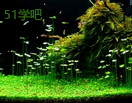 ˮݸ_cSoҕl