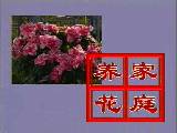 ͥܵĲxμg(sh)̳