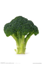 花椰菜種植技術(shù)視頻教程