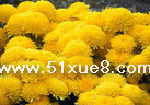 ջҊ(jin)Ĳx(chng)֪R(sh)̳