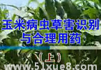 ײxݺμg(sh)