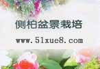 (c)ؘ(sh)辰ҕl