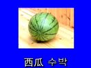 nZA(ch)~W(xu)(x)